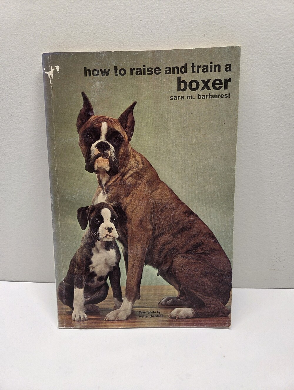 How To Raise And Train A Boxer - 1982 Softcover Dog Training Book
